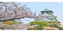 亚马逊日本站|所需认证指南